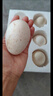 百世富泽（BAISHIFUZE）【百世富泽】黄河滩大鹅蛋新鲜正宗土鹅蛋农家自养孕妇超大鹅蛋 6枚115-130克 实拍图