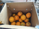 土八鲜江西橙子赣南脐橙新鲜水果赣州脐橙手剥甜橙礼盒 特级净重9-10斤装【单果240-330g】 实拍图