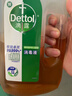 滴露（Dettol）洗衣消毒液衣物消毒水750mL除螨 家居地板杀菌 非84甲流感 实拍图