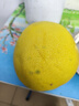 京鲜生 福建琯溪红心蜜柚3-4粒装 净重8.5斤起 生鲜水果 源头直发包邮 实拍图