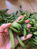 京鲜生云南新鲜甜豆 带壳食用 清香甜脆 加冰保鲜发货净重2斤源头直发 实拍图