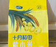 十月稻田 黄小米1kg 原粮产自赤峰市敖汉旗 内蒙古 敖汉小米 小米粥 实拍图