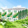 豆本豆 植物有机豆奶植物蛋白质饮料儿童学生营养早餐奶125ml*6盒*3批发 实拍图