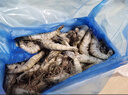 1号会员店泰国活冻黑虎虾 斑节对虾 海鲜水产 净重2斤（41-50只） 实拍图