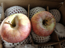 京鲜生 新疆阿克苏冰糖心苹果 净重9斤 果径75mm 新鲜水果 实拍图