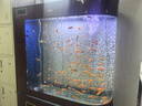 森森 鱼缸潜水泵水族箱抽水泵鱼池循环水陆两用HQB-3500 85W 实拍图