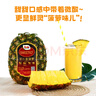 都乐Dole 菲律宾无冠凤梨 巨无霸1只净重2.6斤+  酸甜可口 源头直发 实拍图