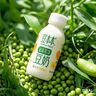 豆本豆植物有机豆奶植物蛋白质饮料儿童营养学生早餐奶250ml*12盒礼盒 实拍图