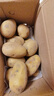 京鲜生山东新鲜小土豆净重3斤单果100g以上 现挖黄心马铃薯蔬菜源头直发 实拍图