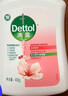 滴露（Dettol）洗手液消毒抑菌滋润500g+500g补充装儿童家庭护手替换 实拍图