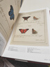 蝴蝶圣经：牛津大学典藏图谱（牛津大学自然史博物馆“镇馆之宝”《琼斯图谱》完整收录,约1600幅手绘完美复刻六大洲的856个绝美物种,赠蝴蝶主题书皮） 实拍图