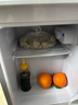 华宝小冰箱小型家用出租房用冷藏冷冻两用一级能效节能省电迷你宿舍寝室办公室二门电冰箱 【店长推荐】48L银色【三天不到一度电】 实拍图