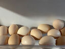 京鲜生柴鸡蛋30枚 3斤 无抗生素 谷物喂养鲜鸡蛋 源头直发 实拍图