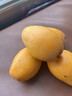 优味集【顺丰快递】枇杷新鲜水果云南蒙自琵琶止咳整箱鲜果中秋节日礼品 净重500g（严选优果18-30g） 实拍图