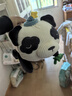 babycare婴儿玩偶安抚枕宝宝多功能哄睡抱枕侧睡靠背档枕咘咘熊猫45*23*15 实拍图
