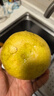 山姆大叔 玉环文旦柚【多地次日达】台州老树蜜白柚子非福建度尾水果礼盒 【清甜】6斤装 | 约2-4个 净5斤 【S+级】精选30年果|清香鲜甜 实拍图