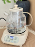 奥特优（AOTEYOU）养生壶炖煮壶一体煮茶壶烧水壶全玻璃养生壶小型一人热水壶迷你养生壶全自动办公室花茶恒温烧水壶 【茶漏款】120min恒温丨24小时预约丨 1.2L 实拍图