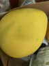 京鲜生 福建红心柚子 4粒  单果2.5-3.5斤 生鲜水果礼盒 实拍图