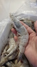 虾有虾途国产青岛大虾白虾青虾基围虾鲜虾冷冻生鲜虾类鲜活特大海捕整箱装 17-20厘米超大号 3.6斤(净重) 实拍图