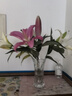 悦多彩AB级优质香水百合 家庭办公室各色生活鲜花 昆明基地 现采直发 粉色百合花10朵  ( 双头5枝) 实拍图