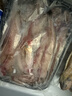 森农乐豆腐鱼舟山特产龙头鱼鲜活冷冻海鲜水产九肚鱼生鲜海鱼水潺3斤装 净重1500g【鲜肥嫩滑】 实拍图