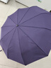 天堂 全自动雨伞三折 10骨加固一键开收易甩干简约晴雨伞 紫兰 实拍图