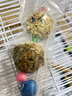 喜帅鹦鹉磨牙零食球 鸟用磨嘴小零食训练奖励食物啃咬鸟玩具2串装 实拍图