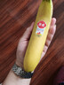 佳农 进口香蕉净重4斤（约10-12根）单根蕉 独立装 生鲜水果 新鲜包邮 实拍图