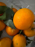 京地达四川爱媛38号果冻橙净重8斤大果15-18粒柑橘桔子水果源头直发 实拍图