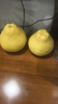 京鲜生 浙江玉环文旦柚 2粒装4.5-5斤 老树精选 源头直发包邮 实拍图