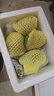 探味君 广西红心芭乐番石榴 新鲜水果生鲜健康轻食带箱 软糯红心芭乐净重2.8斤 实拍图