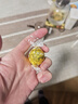 瑞士莲（Lindt）【官方正品】软心精选巧克力507g 袋装 糖果 夹心巧克力 生日礼物 实拍图