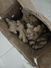 产地直发云南小黄姜新鲜生姜黄姜调味料新鲜蔬菜生鲜 3斤 装 实拍图