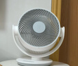 米家小米空气循环扇电风扇台式风扇  桌面家用小型台扇 直流变频轻音节能BPLDS10DM 实拍图