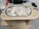 梵都宠舍猫爬架剑麻柱猫窝一体式猫别墅椭圆大号太空舱猫玩具 实拍图