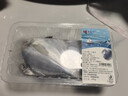 冰鲜白鲳鱼400g（4条装） 实拍图