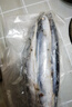 卖鱼七郎大号秋刀鱼2斤 新鲜海捕鲜活冷冻日料生鲜烧烤食材海鲜鱼类 实拍图