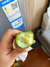 山东寿光水果黄瓜生吃脆新鲜荷兰青瓜当季无刺小黄瓜源头直发 精品水果黄瓜净重 4.5斤 实拍图
