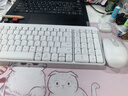 罗技（Logitech）MK251无线蓝牙键盘鼠标套装 办公商务笔记本电脑 数字键盘99键白色键鼠套装（K251键盘+M196鼠标） 实拍图