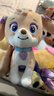汪汪队立大功（PAW PATROL）毛绒玩具狗狗陪睡玩偶经典款珊瑚中号坐姿可爱公仔男女孩生日礼物 实拍图