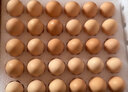 京鲜生可生食标准鲜鸡蛋30枚礼盒装3斤 源头直发 实拍图