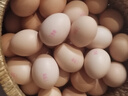 德青源柴垛儿鲜鸡蛋30枚2.58斤 无抗生素 营养早餐 家庭礼盒装 实拍图