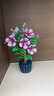 乐高（LEGO）积木10372 芙蓉男女孩玩具生日礼物家居装饰摆件 实拍图