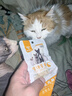 蒸煮鸡胸肉宠物零食猫咪狗狗通用健康即食真空包装营养鲜嫩40g/袋 蒸煮鸡胸肉猫犬通用40g/袋 一袋装 实拍图