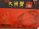 【活蟹】漁家师傅优选大闸蟹公5-5.3两母4-4.3两5对10只 螃蟹鲜活生鲜现货水产海鲜礼盒 实拍图