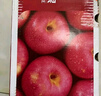 京鲜生 烟台红富士苹果 净重10斤 单果190g以上 生鲜水果 礼盒装 实拍图