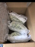 京鲜生 精品阳光玫瑰葡提 5-5.5斤礼盒装 3-5串 单果13g起 生鲜水果 实拍图