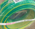 德力西（DELIXI）电线电缆ZC-BV1.5平方阻燃单芯单股家用铜芯电线100米黄绿地线  实拍图