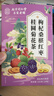 南同四海桑葚红枣桂圆枸杞茶包独立小装养生茶枸杞泡水喝专用的东西冲饮品 实拍图