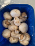 【绿色认证】鲜美白蘑菇230g 实拍图